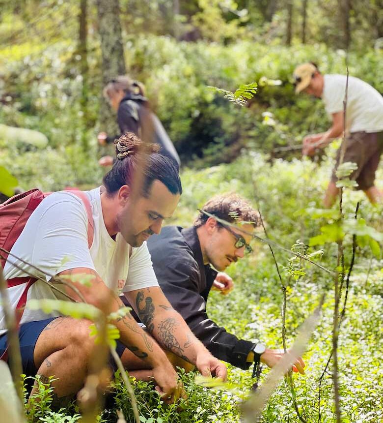 people doing berry picking in nuuksio national park